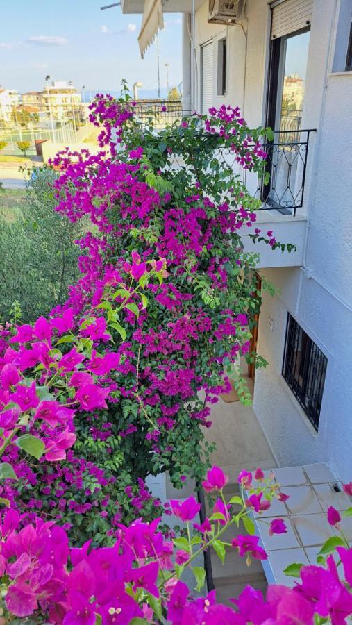 Artemis And Fillo Apartment Loutra Edipsou  Ngoại thất bức ảnh